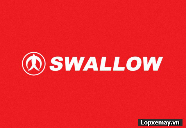 Lốp swallow có tốt không có bám đường không - 1